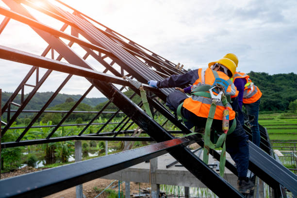 Best Roof Repair Services  in Muniz, TX