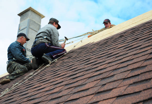 Best Commercial Roofing Services  in Muniz, TX