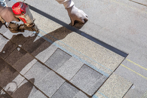 Best Roof Leak Repair  in Muniz, TX